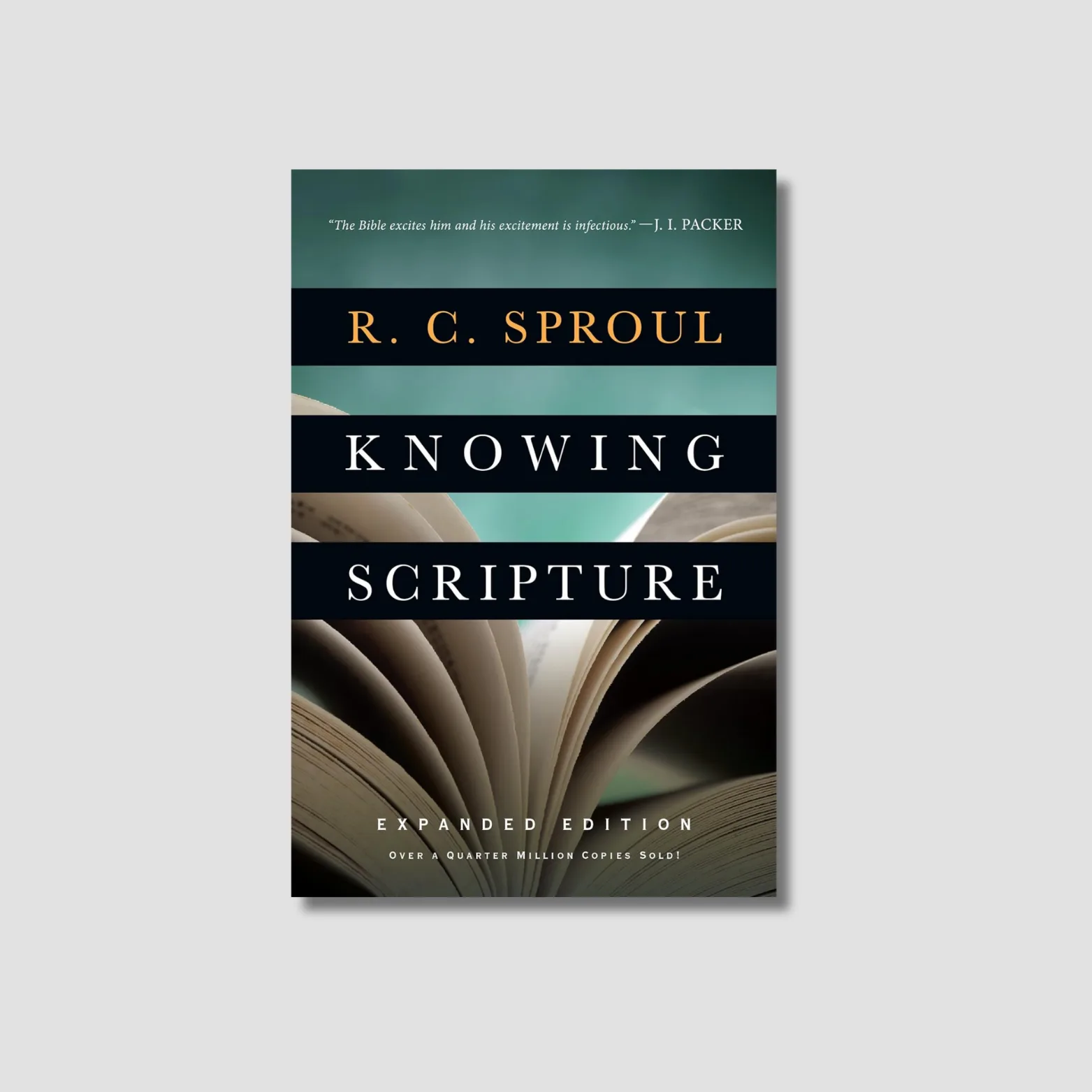 Knowing Scripture (English edition)