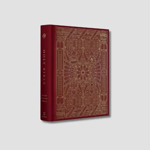 Single Column Journaling Bible - ESV