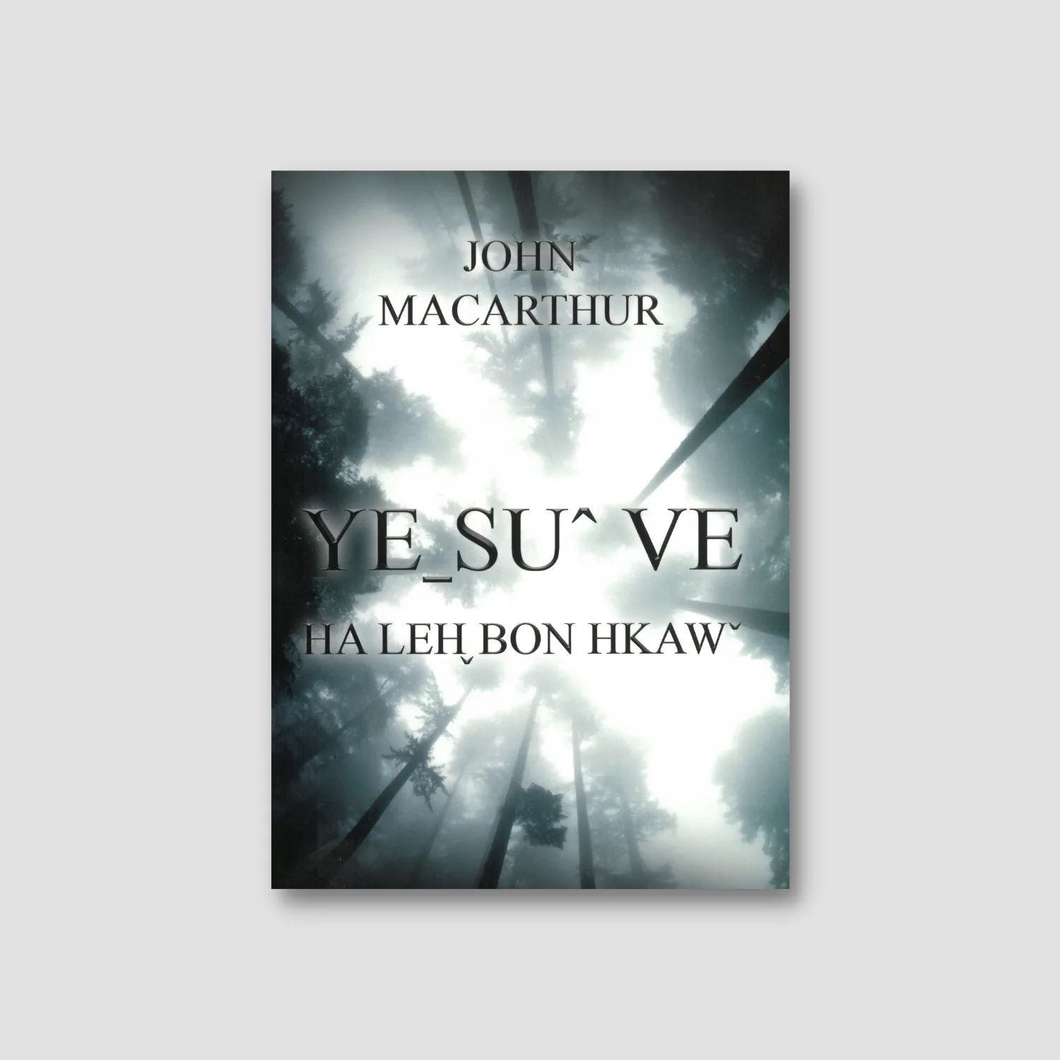 The Gospel According to Jesus Christ (Lahu edition)