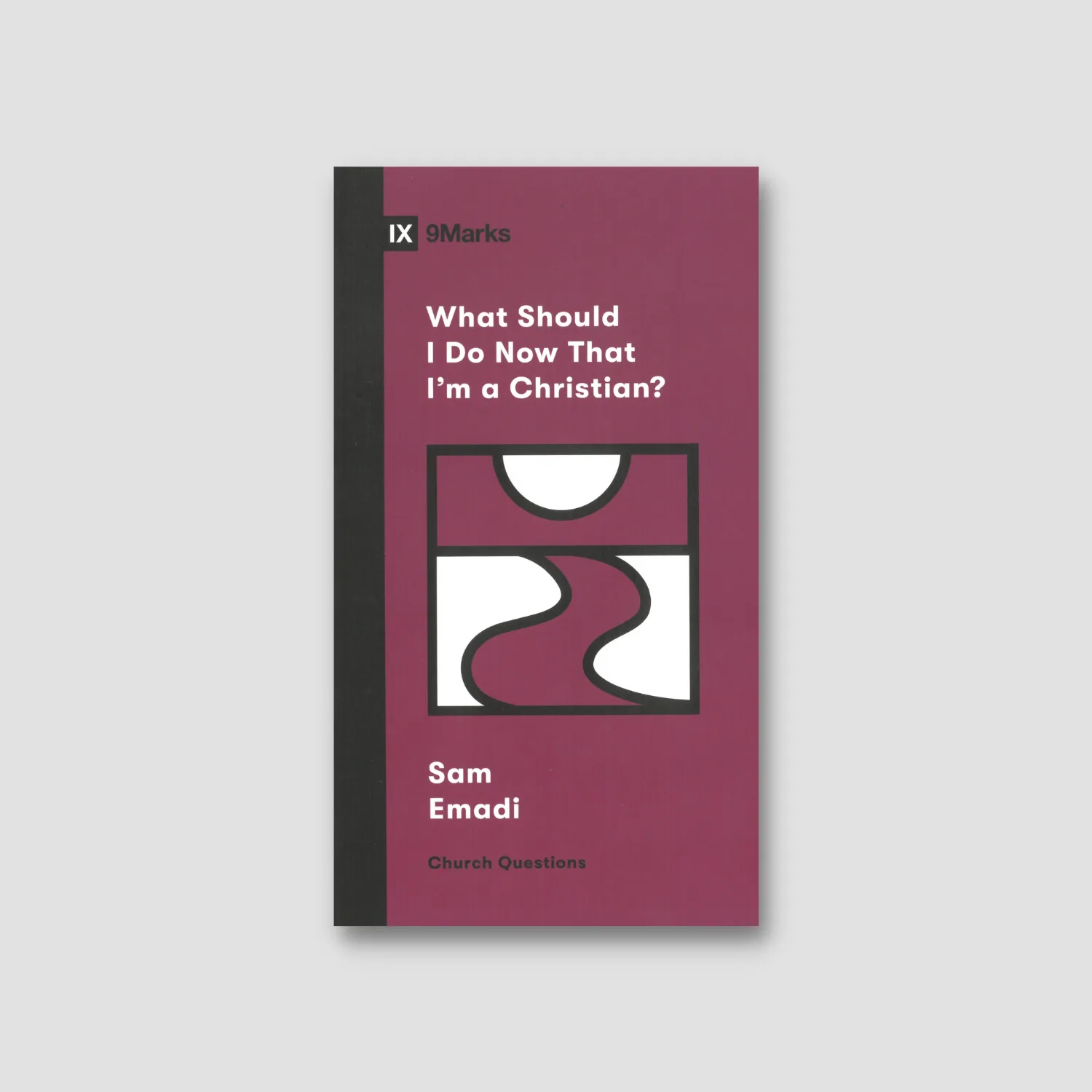 What Should I Do Now That I'm a Christian (English edition)